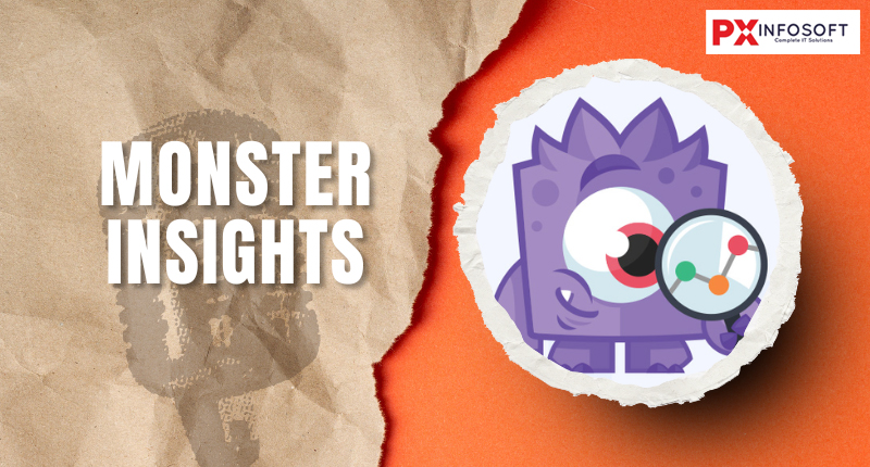 MonsterInsights plugin